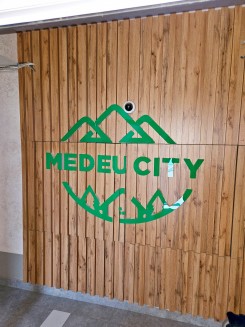 2 комнатная квартира ЖК Medeu City