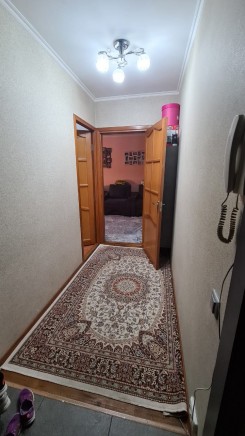 панель 2 комнатная на Радостовца уг.Карасай батыра